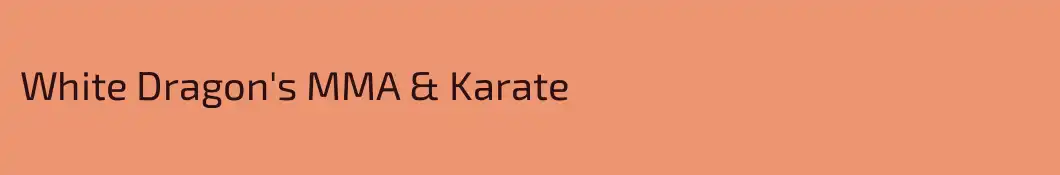 White Dragon's MMA & Karate